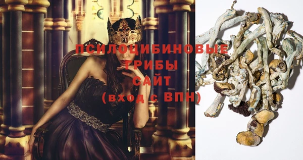 ECSTASY Пересвет