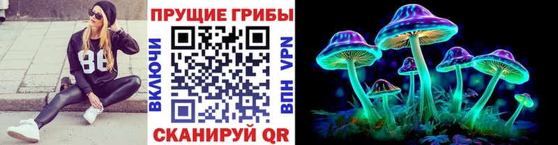 Галлюциногенные грибы GOLDEN TEACHER  blacksprut сайт  Вилюйск 